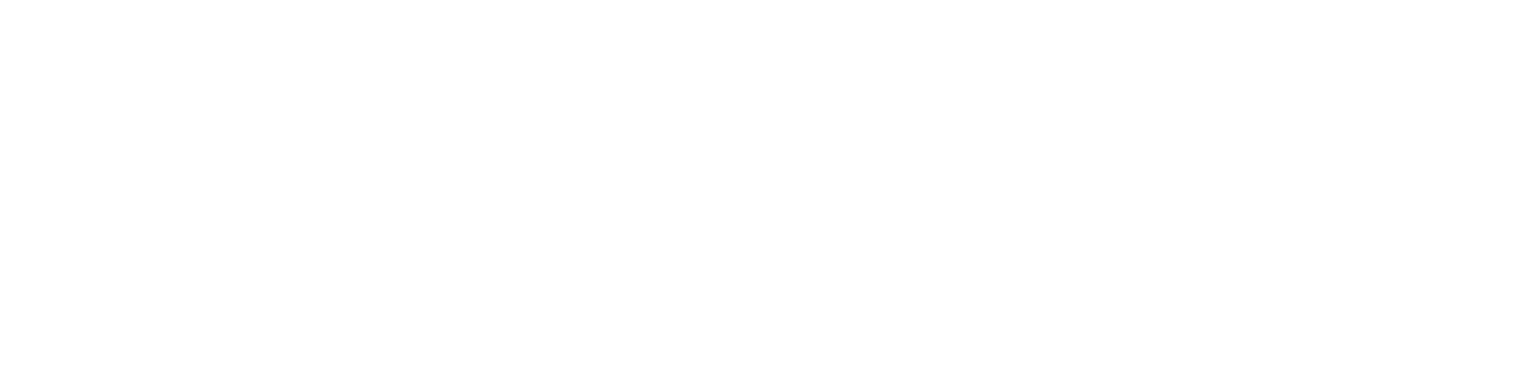 Logo Paypal